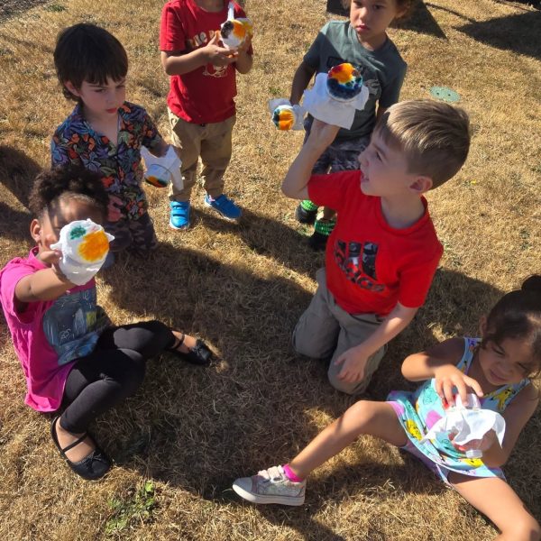 528822169_18489782044069044_4513183587361298396_n