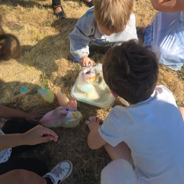 528954560_18489781987069044_1855006614277732436_n